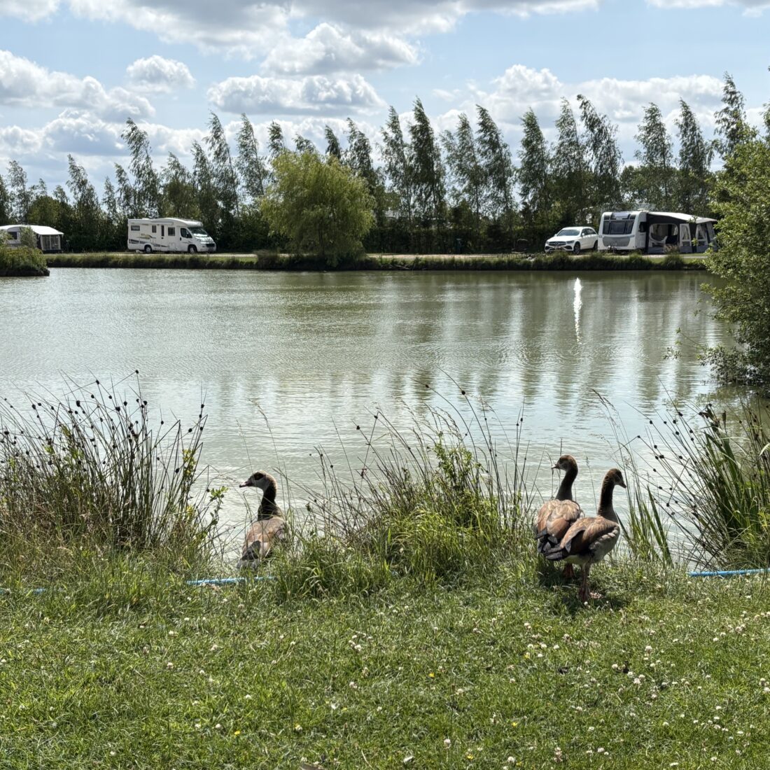 Turing Carava Rark Gold Star Touring Caravan Park In Oakham | Stretton Lakes
